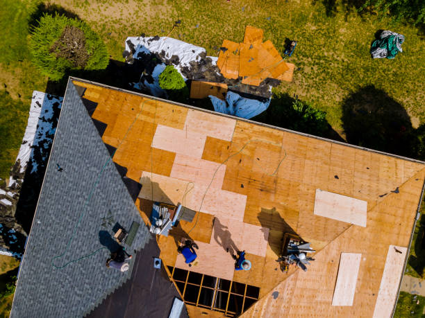 Best Gutter Installation and Roofing  in Ferrum, VA