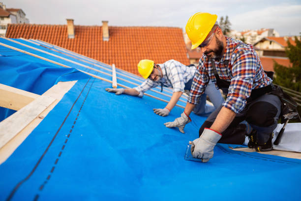Best Roof Repair Services  in Ferrum, VA